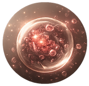 EXOGEN™ — Biomimetic Signaling Technology